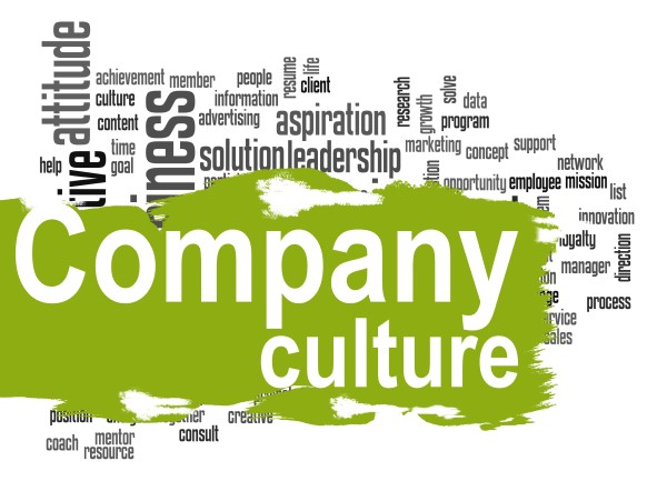Company culture definition