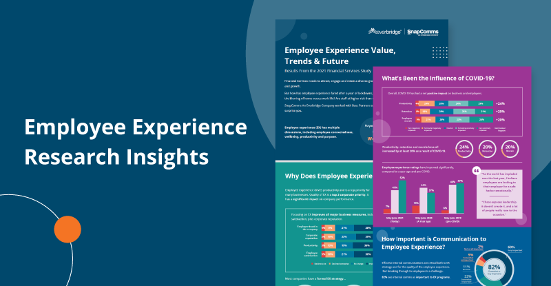 Employee experience research insights