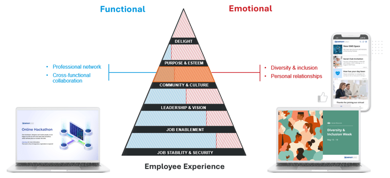 pyramid of needs community culture