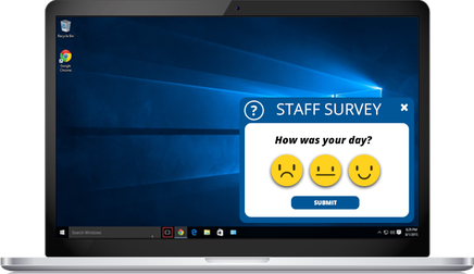 daily employee survey