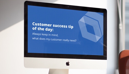 Promote customer success
